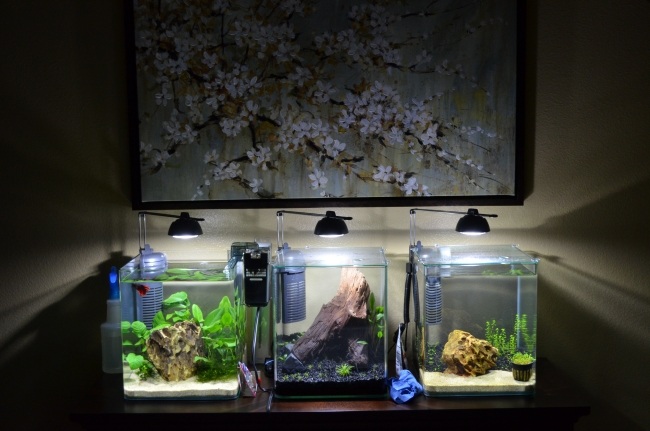 nano aquarien lampen innenfilter unterschiedliche deko
