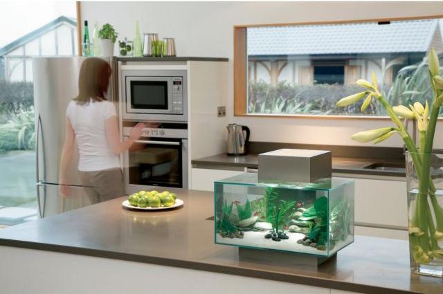 nano aquarium klein küche arbeitsplatte becken