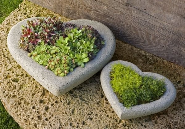 pflanzkübel beton sukkulenten herzenform zum Selbermachen