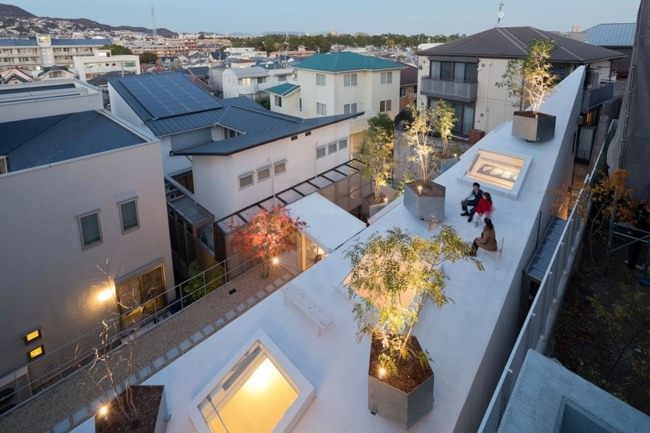 Dachterrasse Bauplan moderne Architektur Blumenkübel