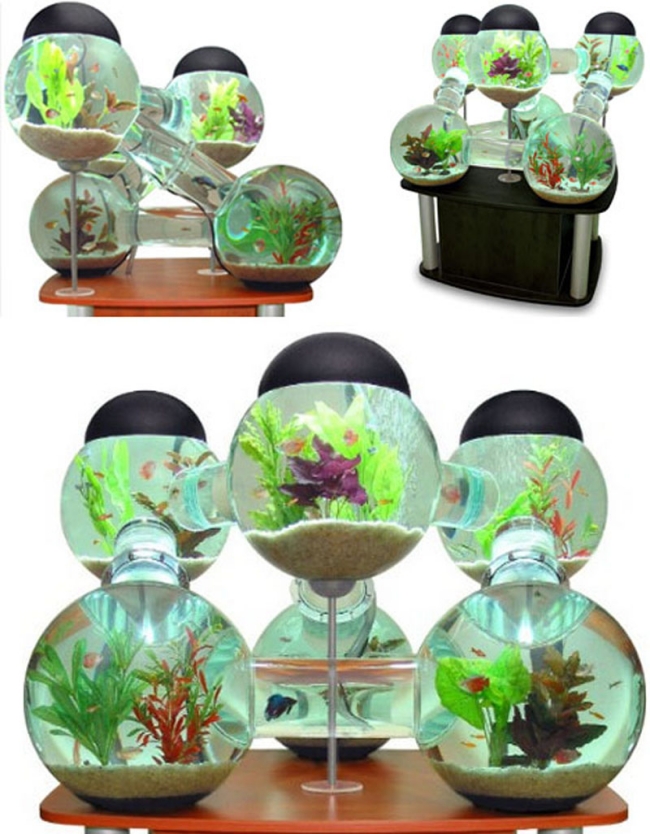 ungewöhnliche-aquarium-designs-glas-kugel-konstruktion