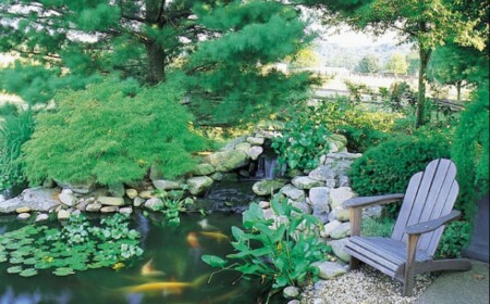 wasserfall-steinrand-fünf-tipps-gartenteich-hinterhof