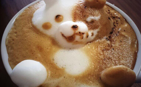3d-kaffee-latte-art-kazuki-yamamoto-panda