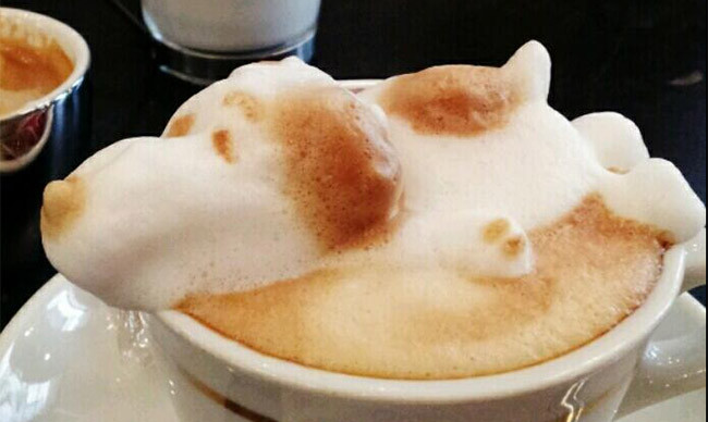3d latte art kazuki yamamoto milchschaum hund