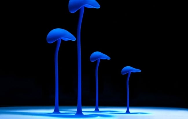 Blaue Pilze moderne Kunst-unter Wasser Fotorafien
