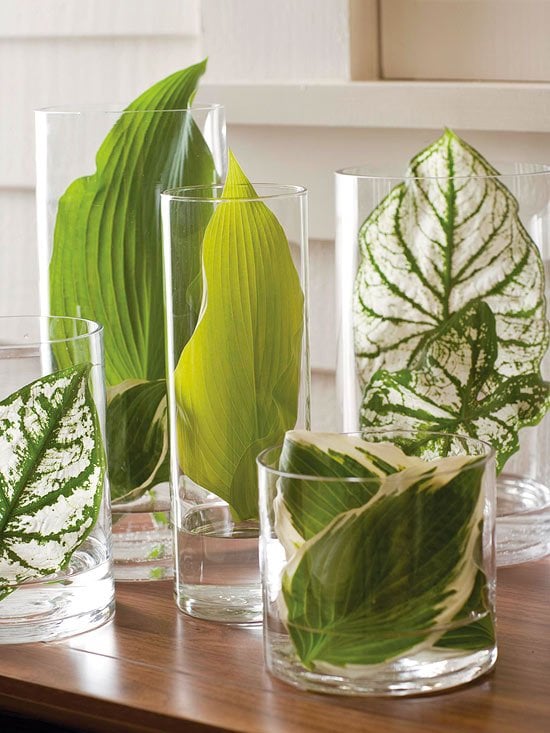 Grüne-Blätter in Gläser-mit Wasser-setzen Dekoidee Regalbretter