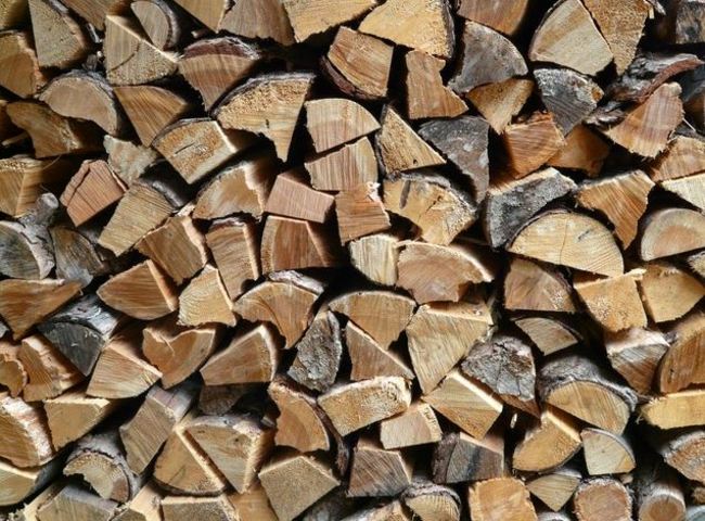 Kosten Arten Spartipps Holz