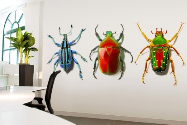 Käfer Farbbilder-hochwertig-hohe Auflösung Sticker Fotowand