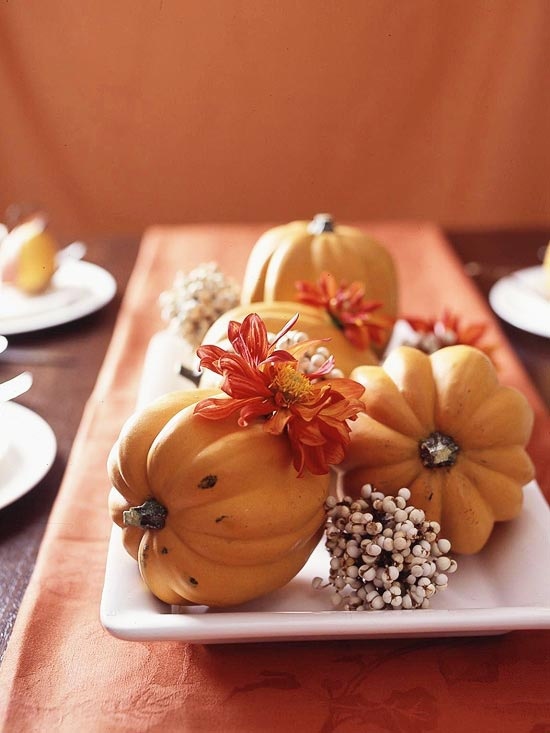 MIni Zierkürbise Blüten-Arrangieren Herbstliche Deko-Tisch