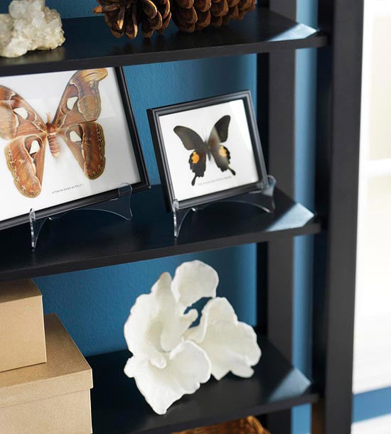 Regalbretter dekorieren Foto Schmetterling Schalen Muscheln Tannenzapfen