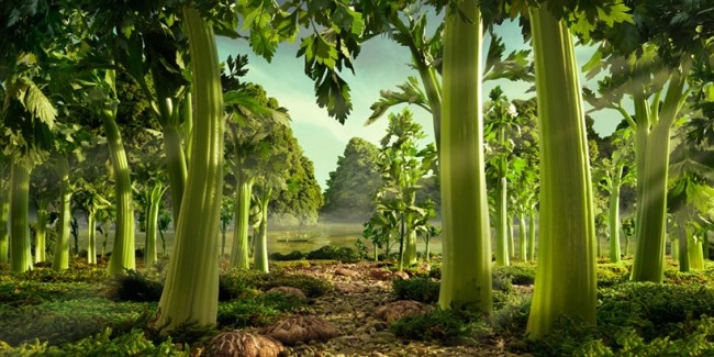 Sellerie Wald-Landschaft Lebensmittel Gemüse-Carl Warner-Kollektion Foodscapes