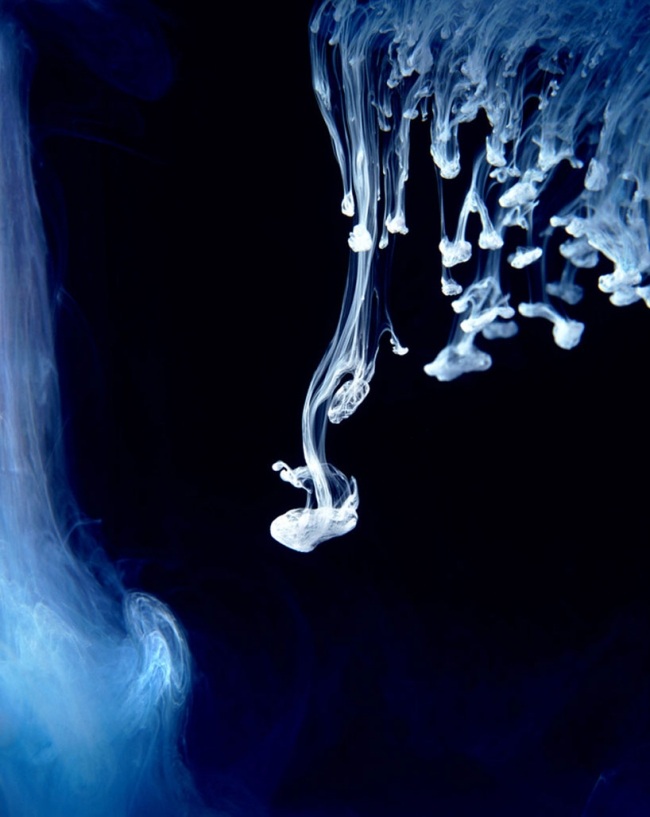 Tintenspiele Unterwasser-Tinte moderne-Fotografien Kunst Ideen