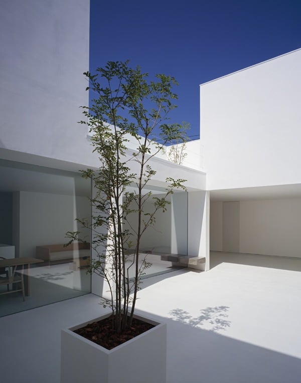 blumentopf rechteckig minimalistisches wohnhaus in weiß
