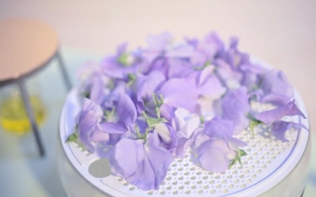 Blumen Kosmetikprodukte selber herstellen Ideen