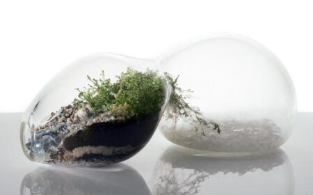 erdnuss-form-terrarium-designs-mini-garten