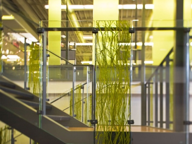 glas dekorative paneele 3form grünes gras motive