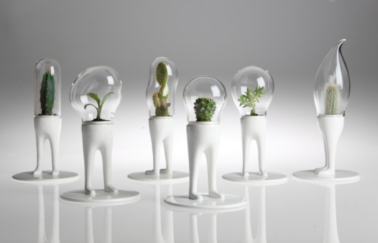 mini terrarium kreative ideen möbeldesign und dekoration
