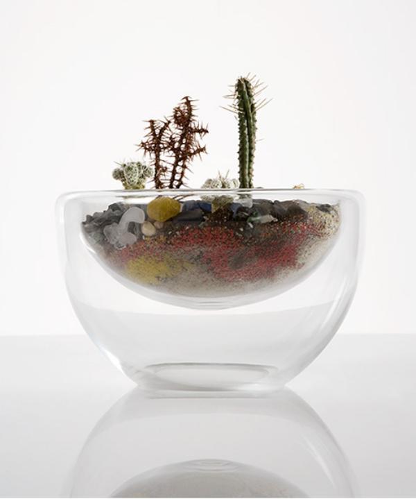 miniatur wüste designer terrarium als mini garten