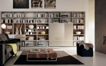 modernes-interieur-ideen-bibliothek-zu-hause