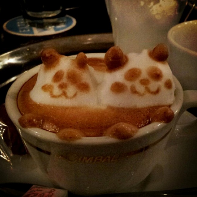 zwei pandas kaffeetasse milchschaum kunst