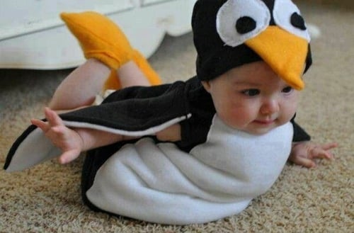 Baby Kostüm Pinguin lustig süß