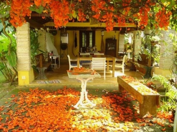 Dekorieren Herbstfarben Herbstlaub-Außenbereich Schmuck Natürlich