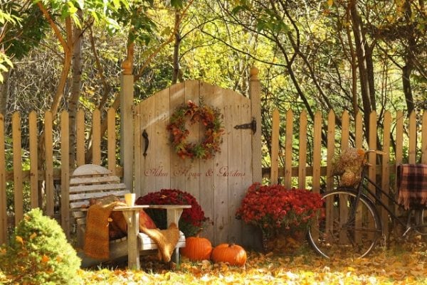 Farben Herbst-Garten Schmuck-natürlich Herbstblüher-rot Tür Holz