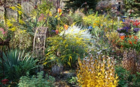 Garten im Herbst Blumen Pflanzen Gestaltung