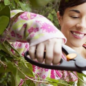 Pflanzen überwintern Herbst vorbereiten Gartenarbeit