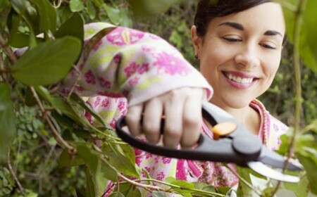 Pflanzen überwintern Herbst vorbereiten Gartenarbeit