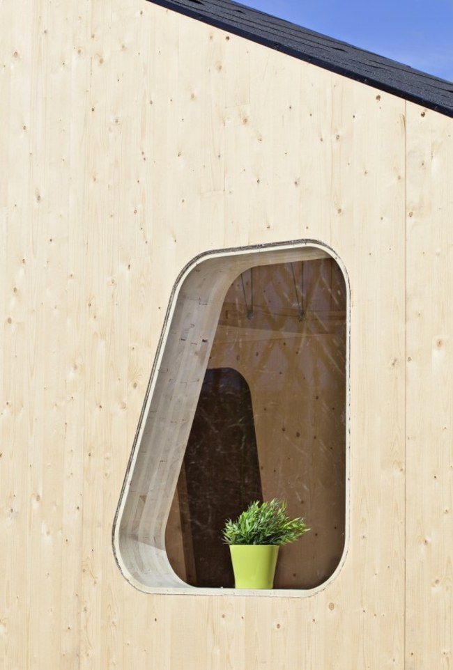 Studentenwohnung Pflanztopf Fenster nachhaltige Architektur