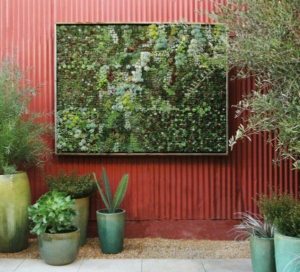 grüne Wand anlegen rote Wand Zimmerpflanzen