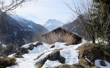 außenblick-naturlandschaft-umgebaute-moderne-holzhütte-schweiz