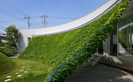einstöckiges-haus-japan-sichtschutzwand-pflanzen-unter-winkel