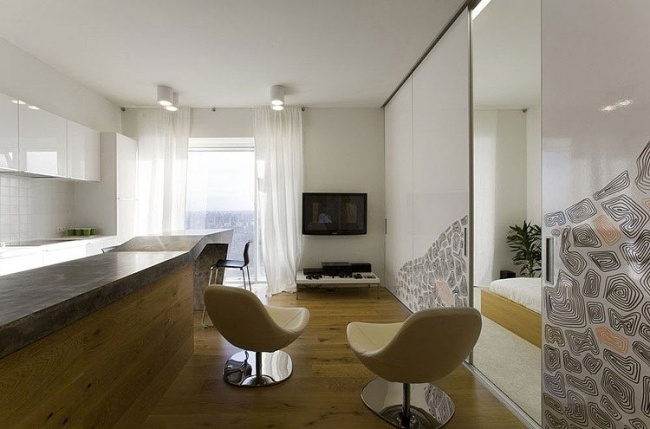 kleine moderne einraum wohnung wohnbereich küche schlafzimmer