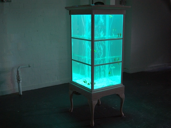 neon licht kreatives schrank design als aquarium