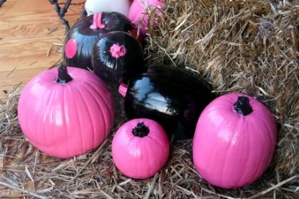 ungewöhnliche kürbisse pink schwarz bemalt halloween
