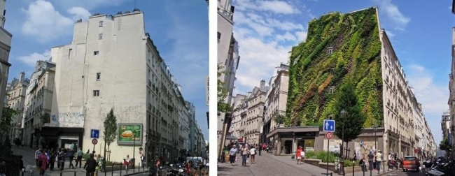 Aboukir-Straße Paris-Beton Fassade-Gestaltung umweltfreundlich Begrünung vorher-nachher