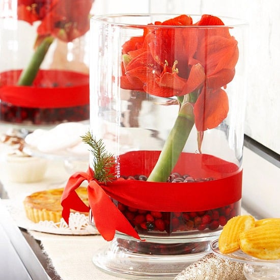 Amaryllis Prieselbeeren-Glas Vase Dekoration Tafel Weihnachten-advent