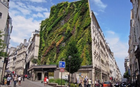 Begrünte Fassade vertikaler garten extensiv Bepflanzung-Wohnhaus Paris-Installation