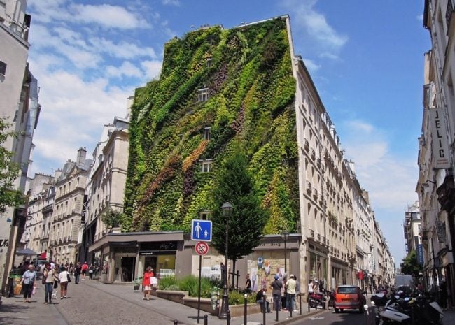 Begrünte Fassade vertikaler garten extensiv Bepflanzung-Wohnhaus Paris-Installation