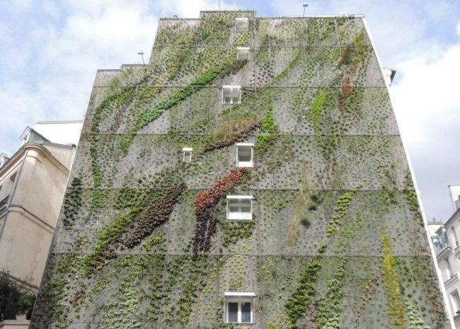 Wohnblock-Frotn grün Vegetation Paris begrünt-extensive geeignete-Pflanzenarten