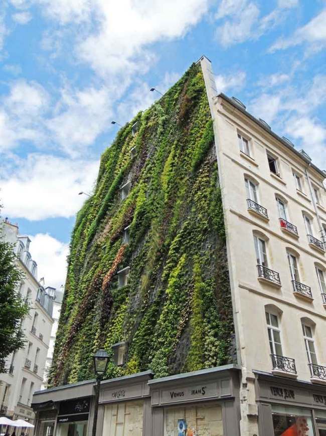Betonfassade Vegetation Pflanzenarten Paris Partick-Blanc Installation