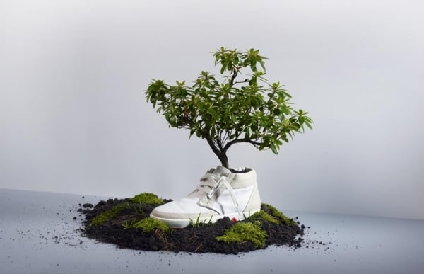 Einen-Turn Schuh bepflanzen Tipps Ideen Garten-Hingucker