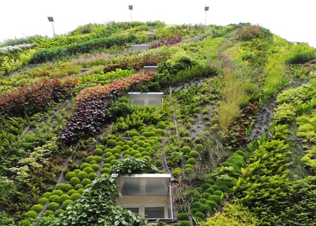 Fassadenbegrünung ökologische-Vorteile Umwelt verbessern Patrick Blanc-Paris