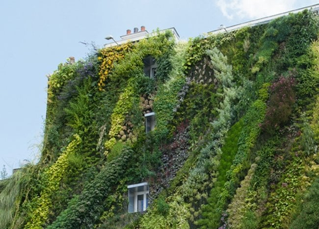 Grüne Fassade vertikale Installation Bepflanzungen-Patrick Blanc-Projekt 2013
