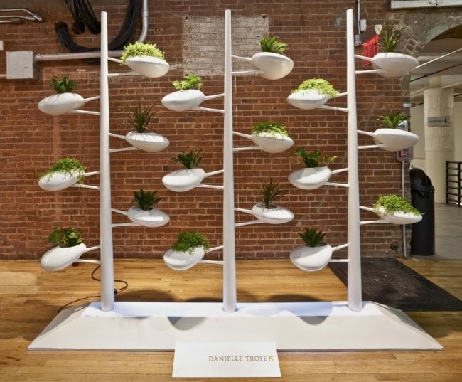 Indoor Begrünung Pflanzen züchten Tipps Hydrokulturen-Installation Vertikal