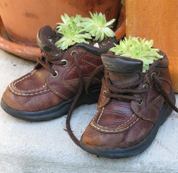 Kinder Schuhe-Leder bepflanzung Sukulente-mit Blumen-Gartenideen