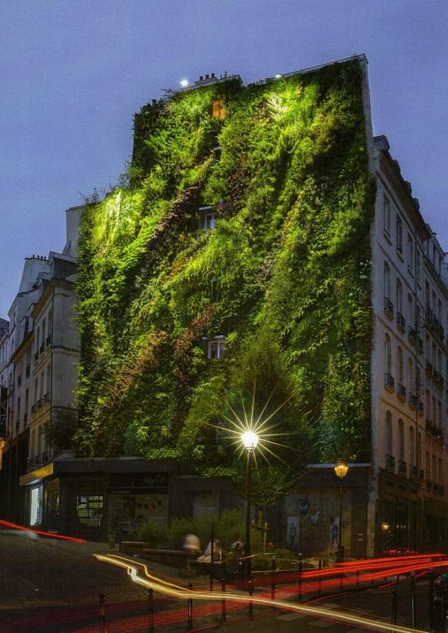 Oase-begrünung Fassade Aboukir Straße Frankreich Paris-design Woche-2013