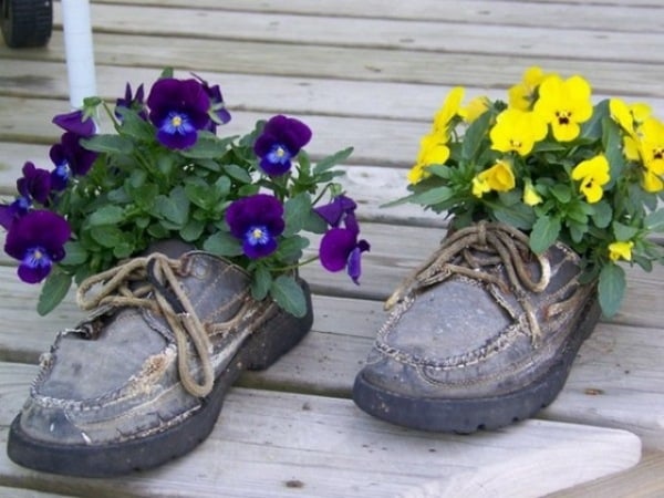 Veilchen einpflanzen-Ideen-alte Stiefel in Szene setzen im Garten